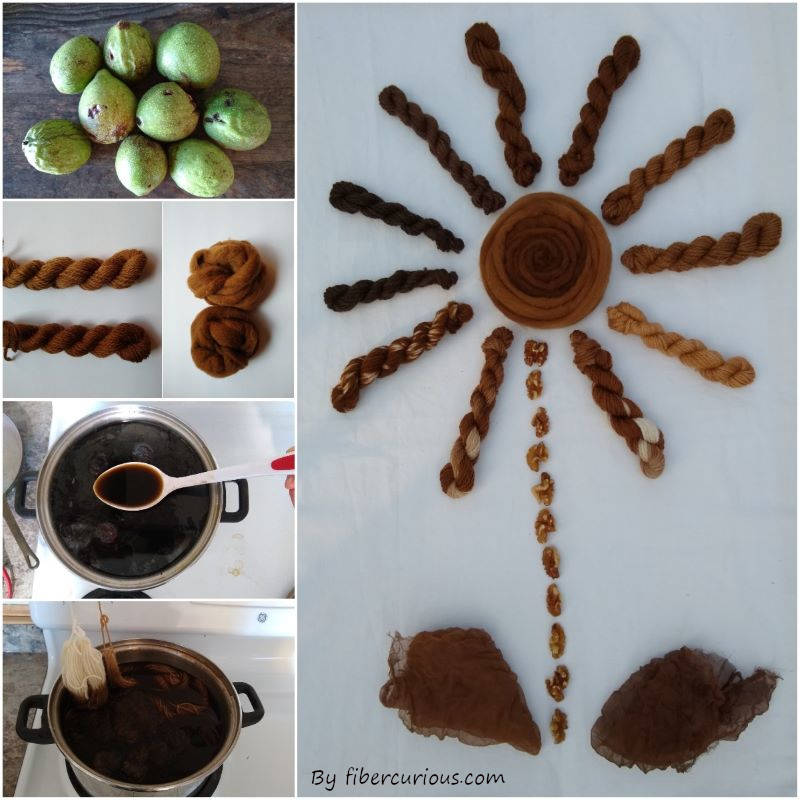 How to make walnut dye • Fibercurious